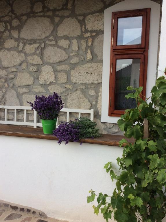 Vitamin B63 Vendeghaz Boldogkοváralja Εξωτερικό φωτογραφία