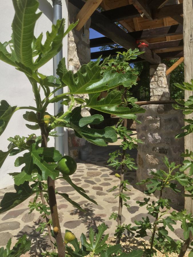 Vitamin B63 Vendeghaz Boldogkοváralja Εξωτερικό φωτογραφία